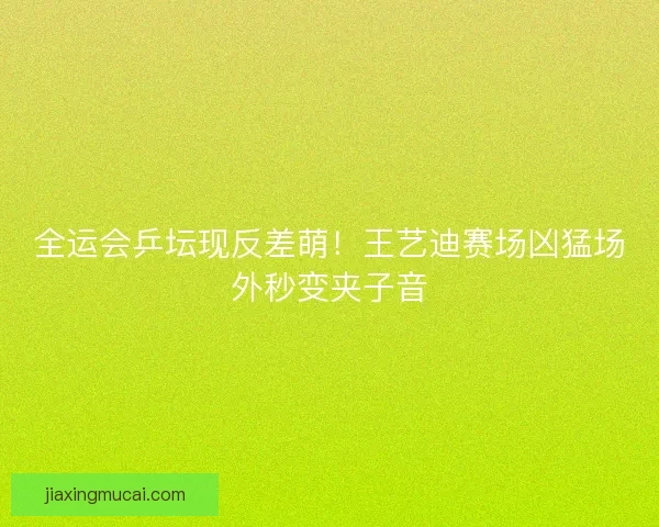 全运会乒坛现反差萌！王艺迪赛场凶猛场外秒变夹子音