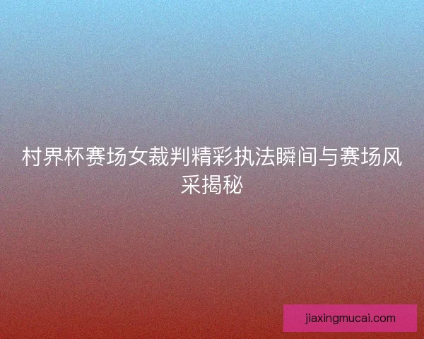 村界杯赛场女裁判精彩执法瞬间与赛场风采揭秘
