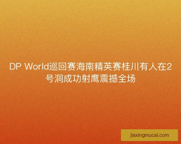 DP World巡回赛海南精英赛桂川有人在2号洞成功射鹰震撼全场