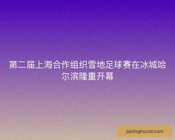第二届上海合作组织雪地足球赛在冰城哈尔滨隆重开幕